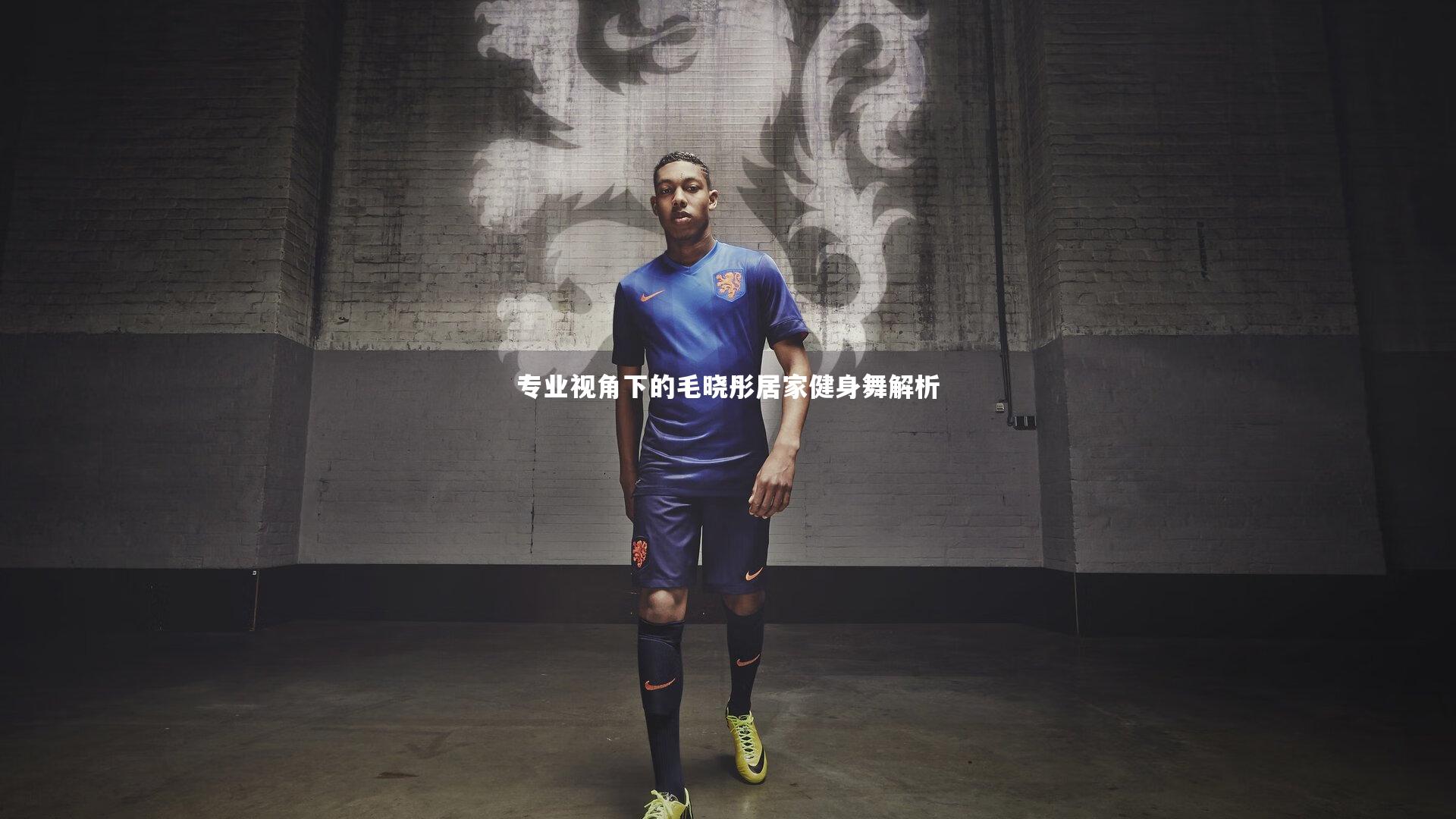 专业视角下的毛晓彤居家健身舞解析